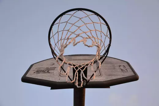 Turkish Basketball Super League (BSL)